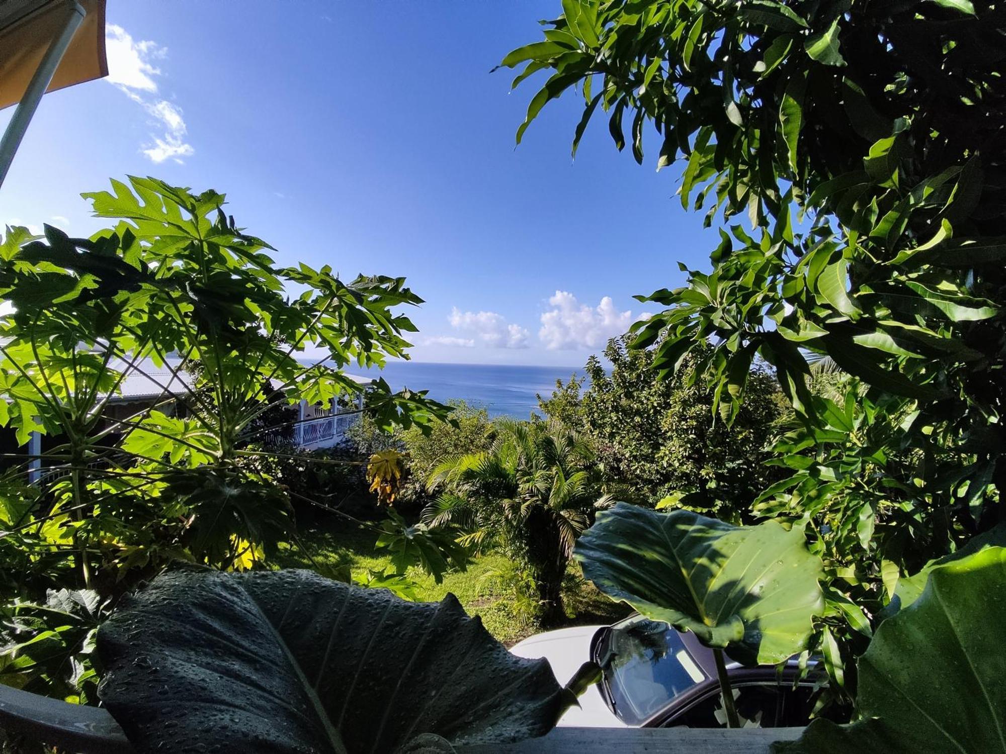 Bungalow With Sea View In Deshaies Værelse billede